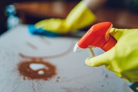 sprzątanie, Pan - R Szymon Radzik, Czechowice-Dziedzice