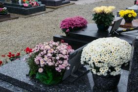 pielęgnacja nagrobków, Klematis Sprzatanie Grobów, Częstochowa