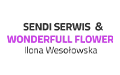 Sendi Serwis & Wonderfull Flower Ilona Wesołowska, Dąbrowa Górnicza