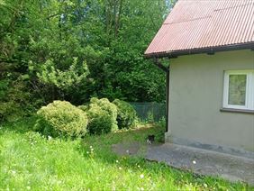 usługi ogrodnicze, Wirginia Felska Ekipa Brodacza, Imielin