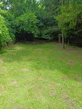 koszenie trawy, Wirginia Felska Ekipa Brodacza, Imielin