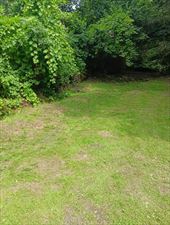 usługi ogrodnicze, Wirginia Felska Ekipa Brodacza, Imielin