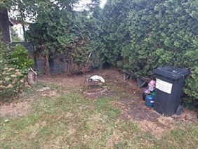 sprzątanie działek, Wirginia Felska Ekipa Brodacza, Imielin