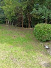 usługi ogrodnicze, Wirginia Felska Ekipa Brodacza, Imielin