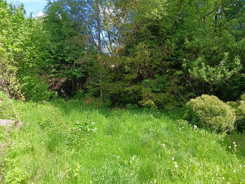 przyjazna Ogrody, tereny zieleni - projektowanie, utrzymanie, Wirginia Felska Ekipa Brodacza, Imielin