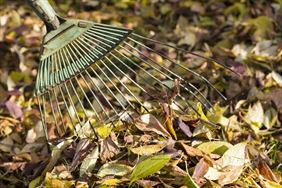 grabienie liści, K.G. Usługi Sprzątające Czysty Efekt Kacper Grzesik, Piekary Śląskie
