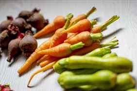 Gospodarstwo Rolne Daniele I Przyjaciele warzywa, Gospodarstwo Rolne Daniele I Przyjaciele Renata Kapuściak, Wysoka Lelowska