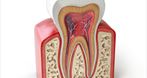Pas-Dent Usługi Stomatologiczne Pasieka Anna, stomatologia, stomatologia dziecięcia, dentysta dziecięcy, Zabrze