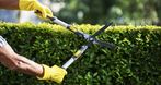 Zielony Majster Bujok Artur, pielęgnacja ogrodów, utrzymanie ogrodów, koszenie trawników, Głębce