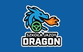 Szkoła Jazdy Dragon Aleksandra Krufczyk, Bytom