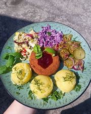 obiady domowe, Fabryka Smaku Marzena Grzybowski, Żywiec