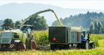 Rolnicze usługi - Zbiór Sianokiszonki - Agro Team Szymon Klinik