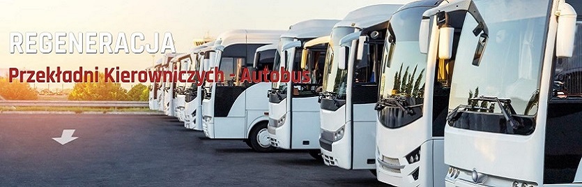 Naprawa i regeneracja przekładni kierowniczych, Izomag Regeneracja przekładni kierowniczych, Czeladź