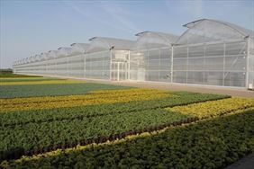 bloki foliowe, Agro-Sur, Rogoźnik