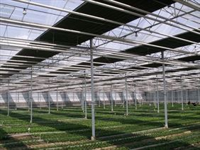 zasłony cieniujące, Agro-Sur, Rogoźnik