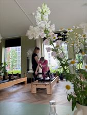zajęcia pilates na reformerze, Luna Katarzyna Pielka Katarzyna Stanuch s.c., Katowice