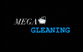 Mega Cleaning Iryna Yatsiv, Katowice