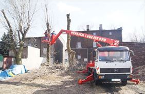 wycinanie drzew, Grzegorz Wikliński Usługi Sprzętem Budowlanym, Katowice