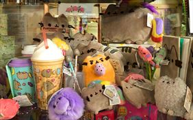 pluszaki, ZUH Kserografia Agnieszka Gnyś, Katowice