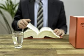 radca prawny, Tomasz Doleżych Kancelaria Radcy Prawnego, Lyski