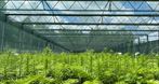 Agro-Sur
