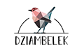 Dziambelek Karolina Szkop, Katowice
