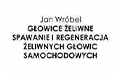 Jan Wróbel Głowice żeliwne, Spawanie i regeneracja żeliwnych głowic samochodowych, Łaziska Górne