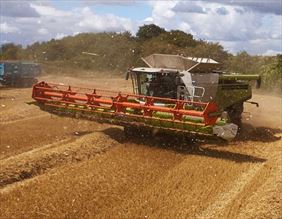 kombajn, Czemarol Papugowie Sp. z o.o., Zbylitowska Góra