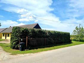 ogrodnictwo, Mobilny Alpinista Usługi Wysokościowe Dawid Kiełbasa, Lipiny