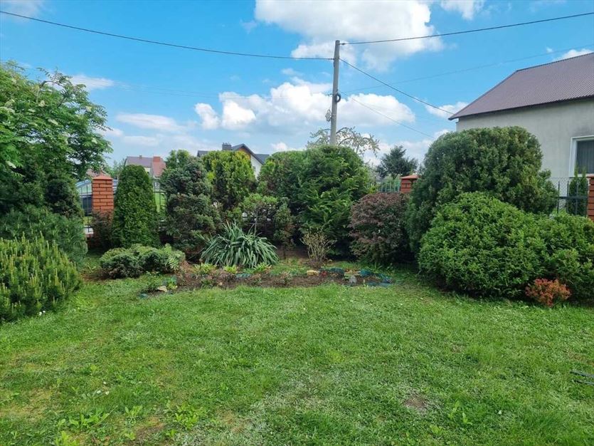 Usługi pielęgnacji ogrodów, Mobilny Alpinista Usługi Wysokościowe Dawid Kiełbasa, Lipiny