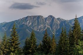 góry, Willa Violetta, Tylmanowa