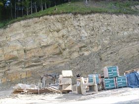 geologia, Geosolum Usługi geologiczne Mateusz Rachwalski, Bochnia