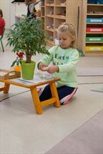 nauka w przedszkolu, Marta Derkowska Klub Dla Dzieci Montessori, Kraków