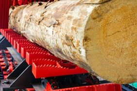 cięcie drewna, Opdrew Fhu Skład Drewna, Kraków