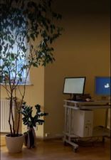 gabinet, Alfa Back Krystyna Wyciszkiewicz, Kielce