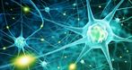 Neurologiczna Praktyka Lekarska Ewa. M. Wywiał