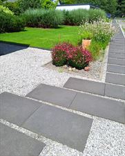 Projekt Zieleń, Joanna Nowak Projekt Zieleń, Kielce