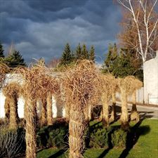 Projekt Zieleń, Joanna Nowak Projekt Zieleń, Kielce