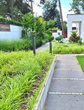 Projekt Zieleń, Joanna Nowak Projekt Zieleń, Kielce