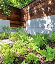 Projekt Zieleń, Joanna Nowak Projekt Zieleń, Kielce