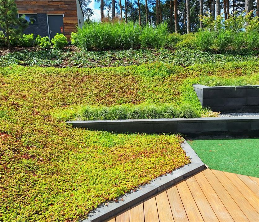 przyjazna Ogrody, tereny zieleni - projektowanie, utrzymanie, Joanna Nowak Projekt Zieleń, Kielce