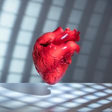 specjalista kardiochirurgii dziecięcej, Kardiochirurg dr hab. Jacek Pająk, Libertów