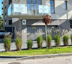 lokal, Dobra droga. Karolina Piłat, Kielce