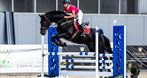 Arion Equi Trening koni i jeźdźców 