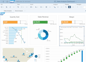 SAP Business Intelligence, Pro-Holding Sp. z o.o., Kraków