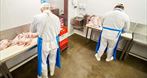 Woch Kebab Producent Mięsa Kebab Woch Kebab Producent Mięsa Kebab, sprzedaż mięsa kebab, mięso do kebabów, mięso na kebab przyprawione, Kraków