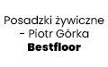 Posadzki żywiczne - Piotr Górka Bestfloor, Przeginia
