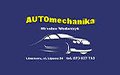 Mirosław Włodarczyk Automechanika, Limanowa