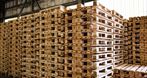 Przetwórstwo drewna Marek Sitkowski, palety dowóz, transport palet, dowóz palet, Zamość