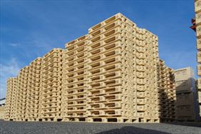 producent palet, Szadek Leszek Szatkowski Producent Palet i Drewna Budowlanego, Łódź